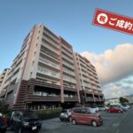 画像サムネイル