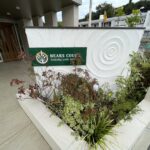 画像サムネイル