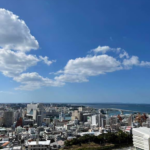 画像サムネイル