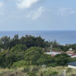 画像サムネイル