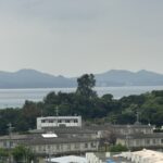 画像サムネイル